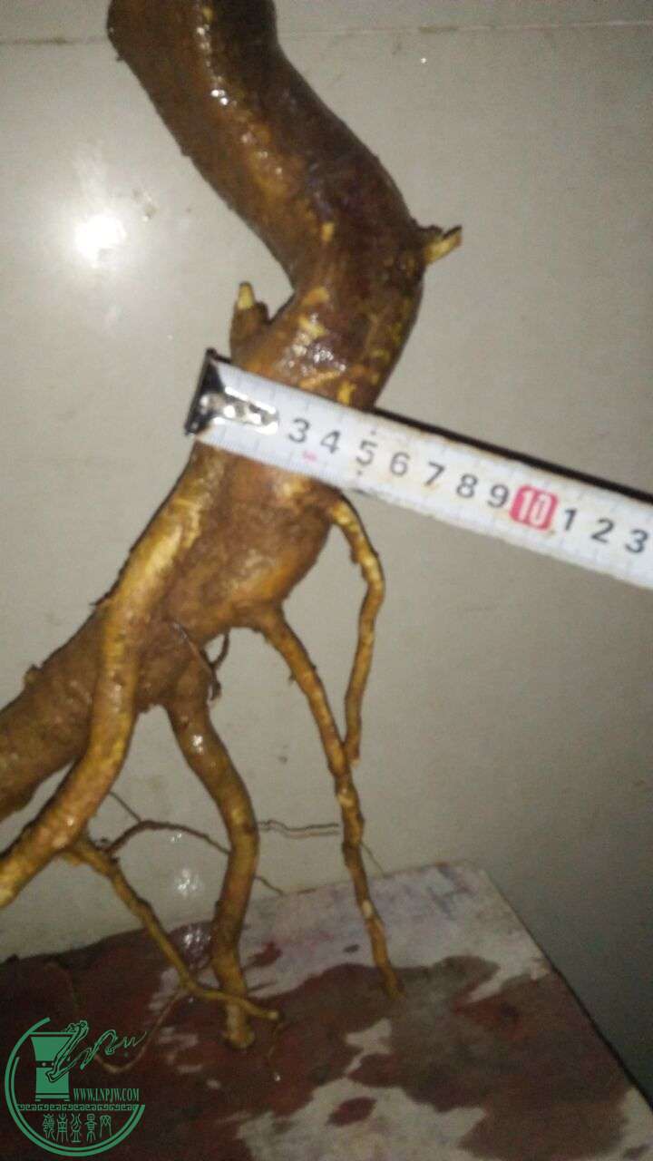 QQͼƬ20160220194215.jpg