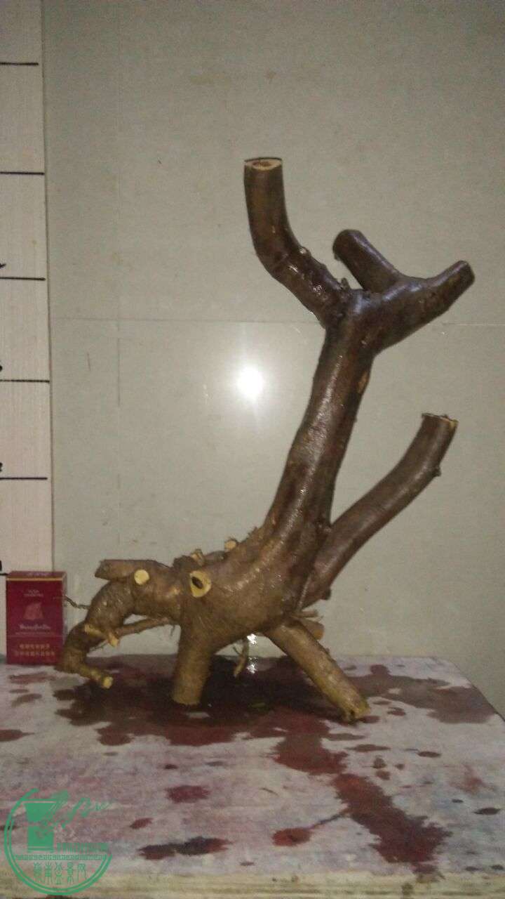 QQͼƬ20160220194230.jpg
