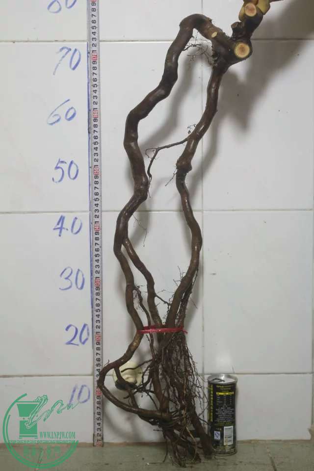 psb (13).jpg