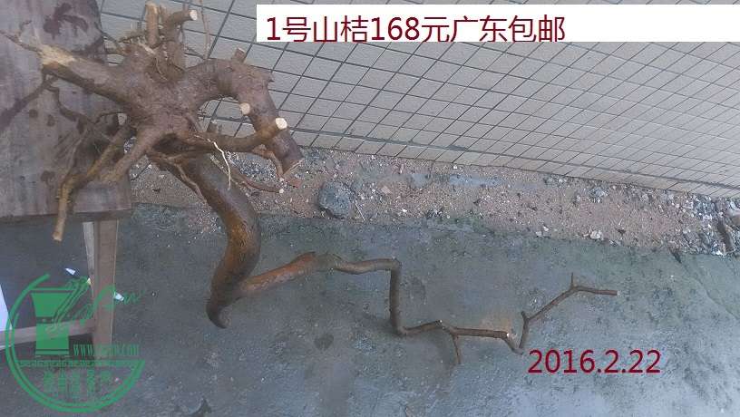 QQͼƬ20160222192322.jpg