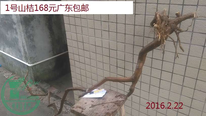 QQͼƬ20160222192348.jpg