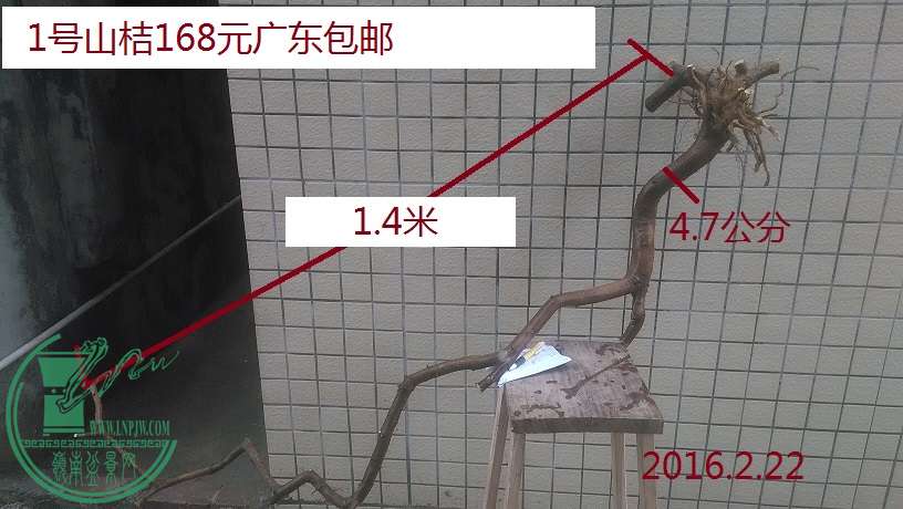 QQͼƬ20160222192354.jpg