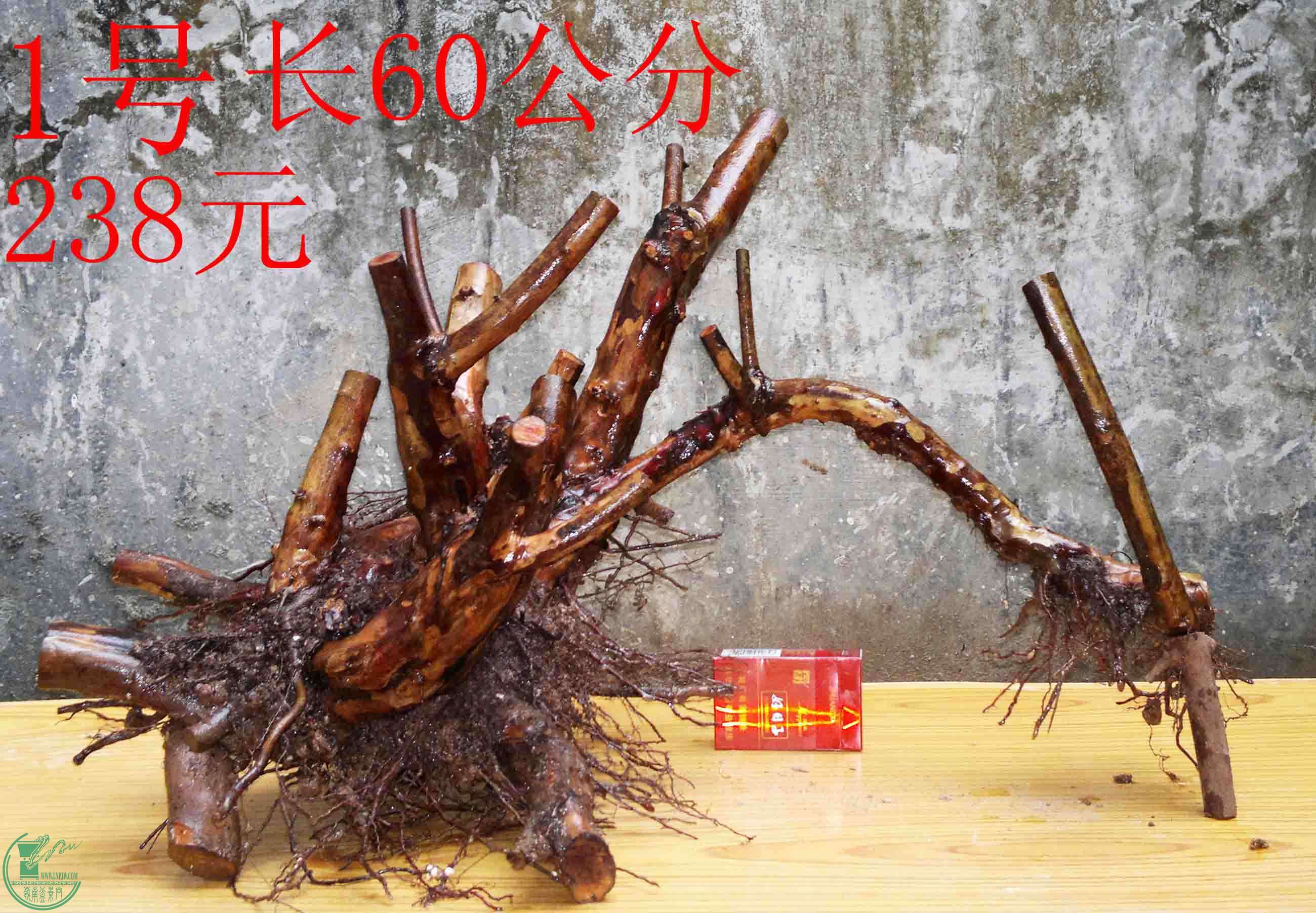 2016022210308.jpg