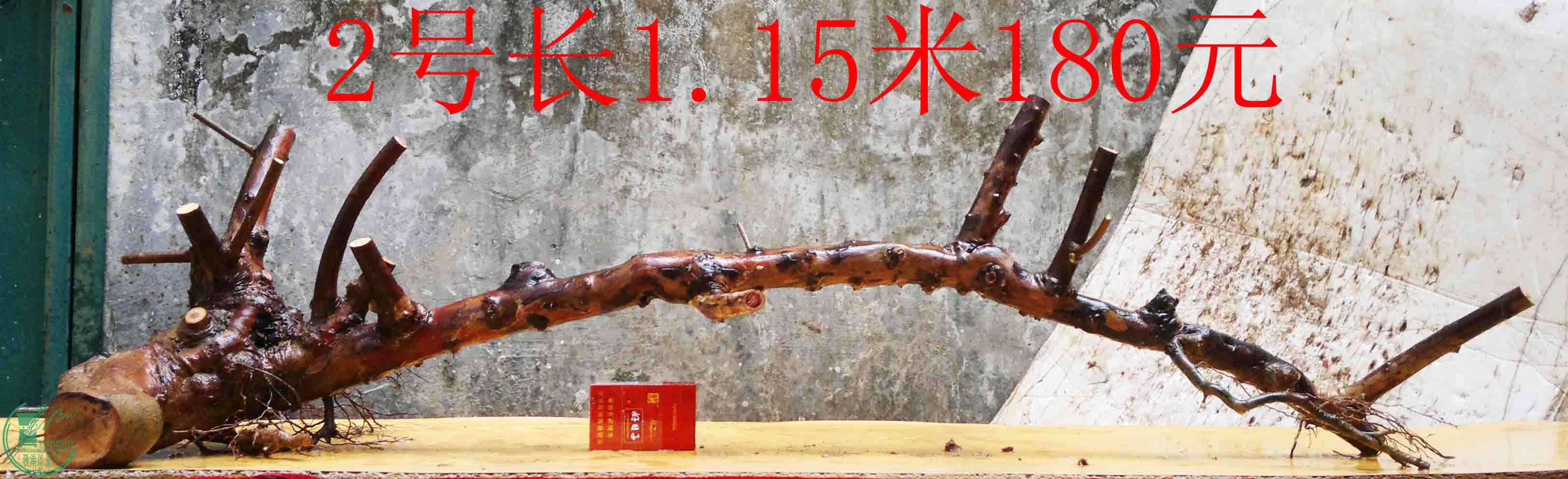 2016022210326.jpg