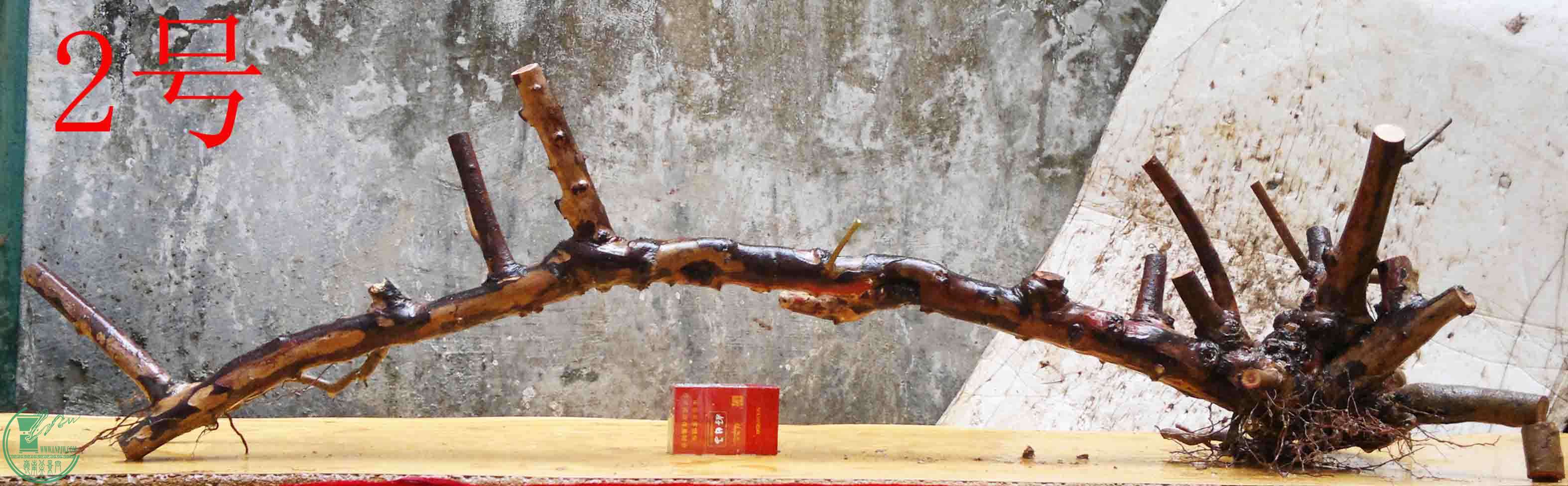 2016022210333.jpg