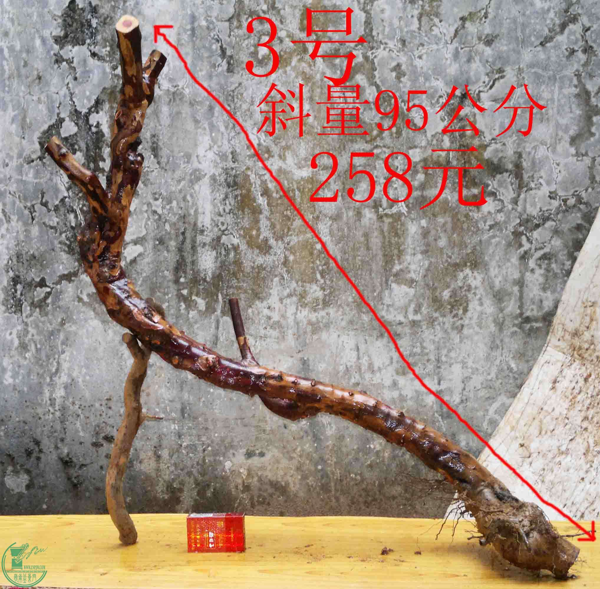 2016022210347.jpg