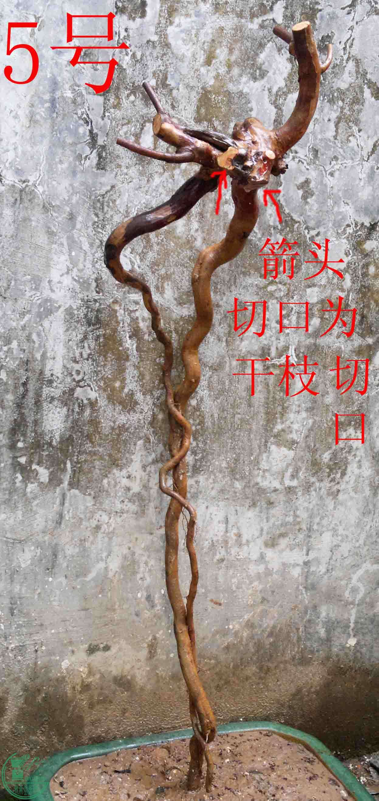 2016022210410.jpg