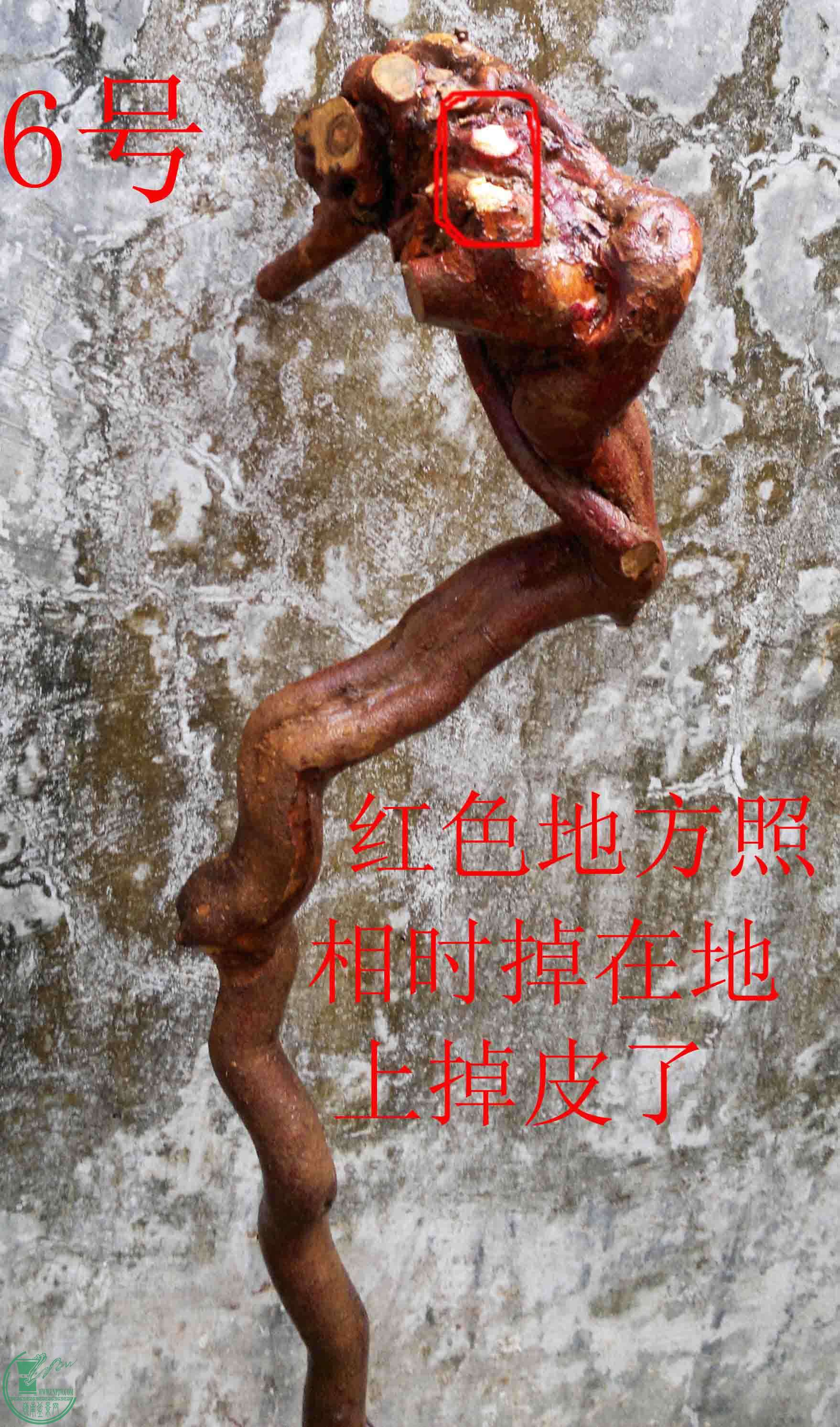 2016022210435.jpg