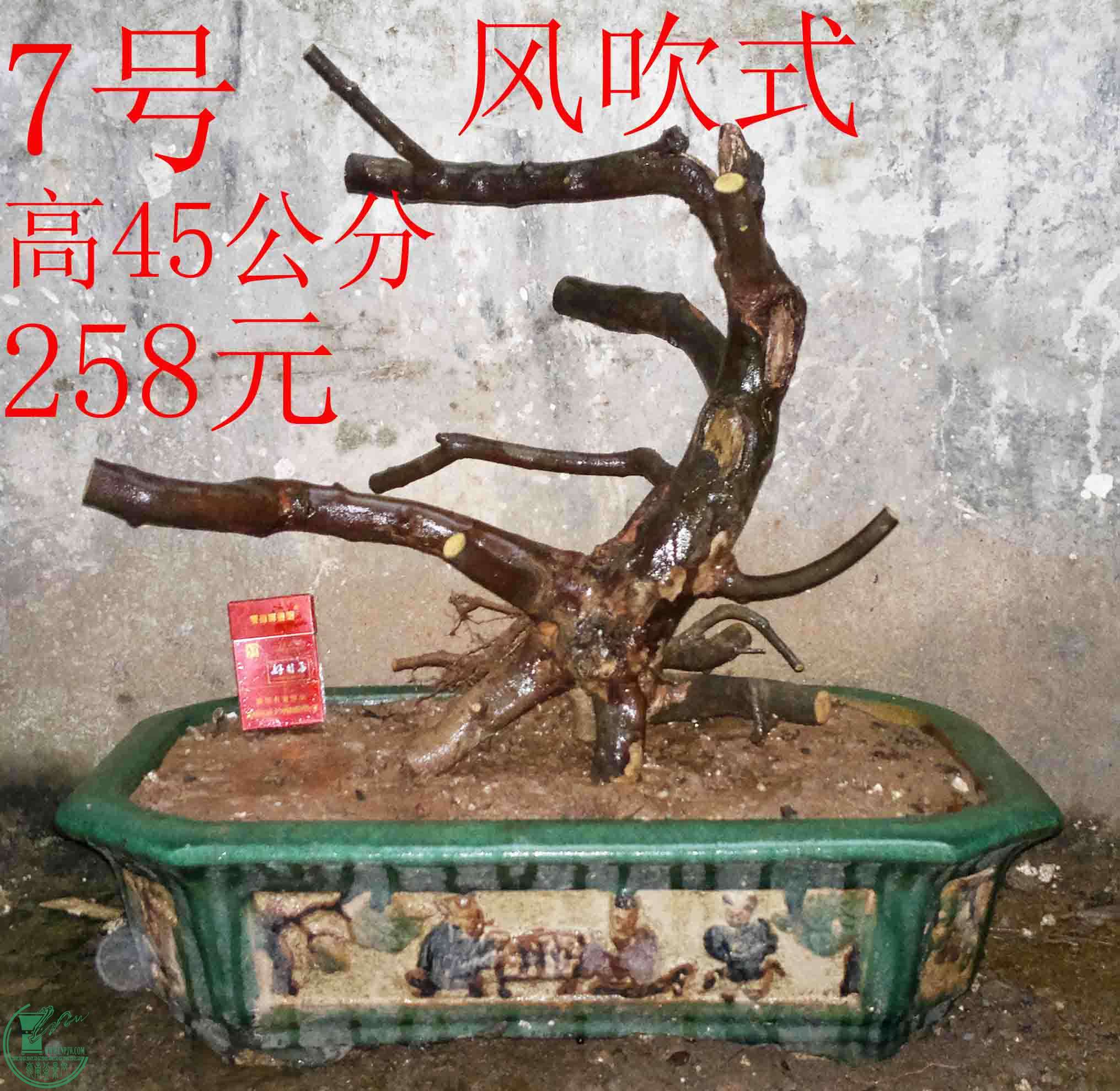 2016022210444.jpg