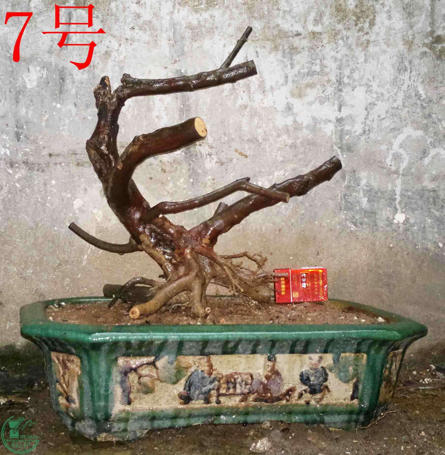 2016022210449.jpg