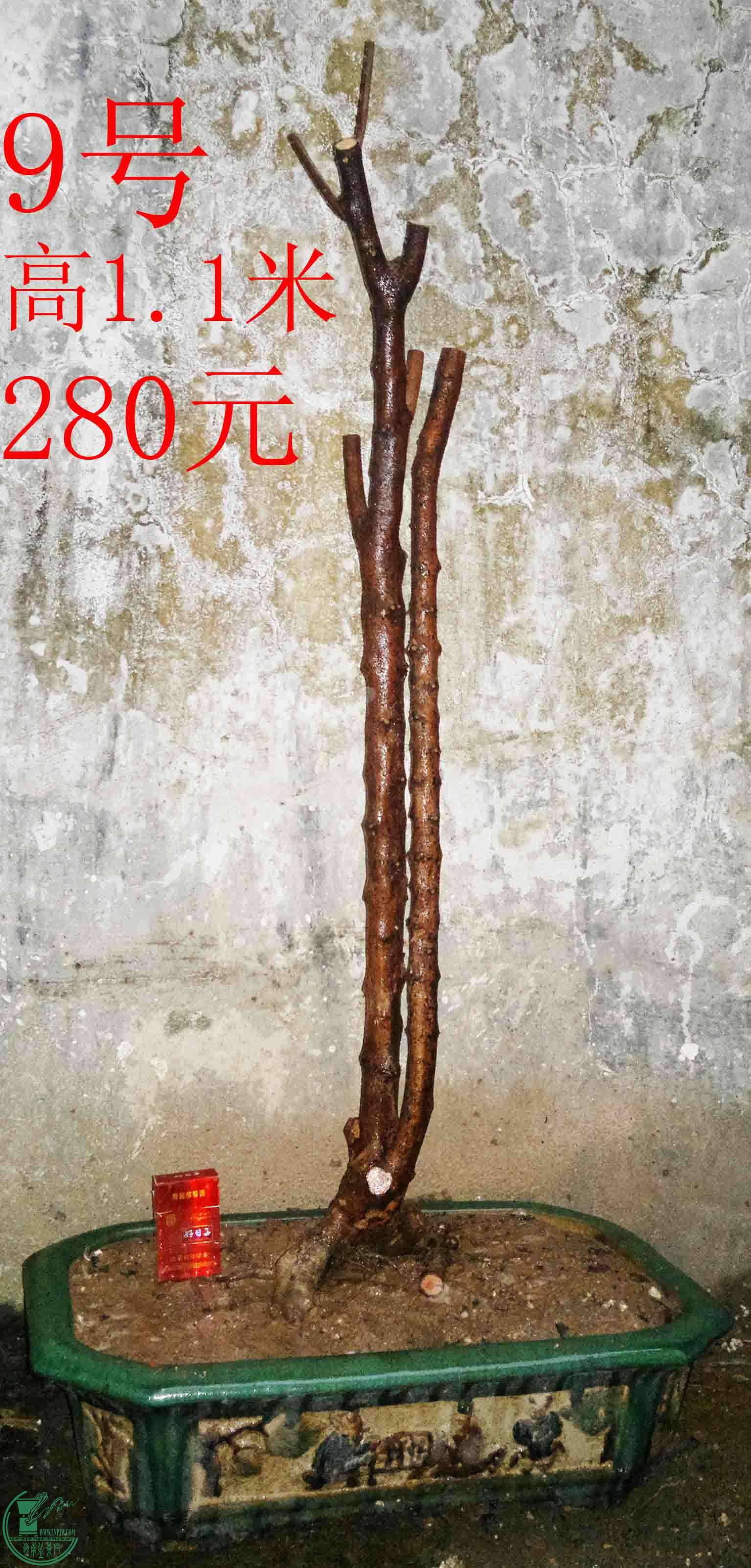 2016022210485.jpg