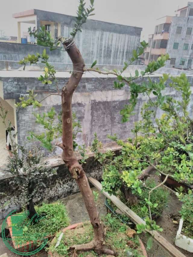 129.jpg