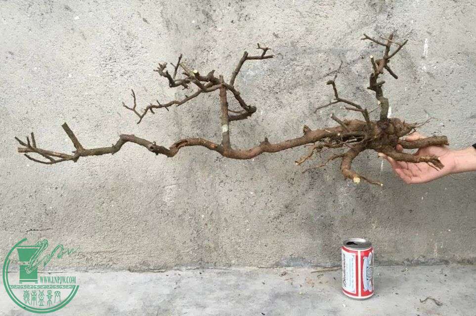 QQͼƬ20160223182754.jpg