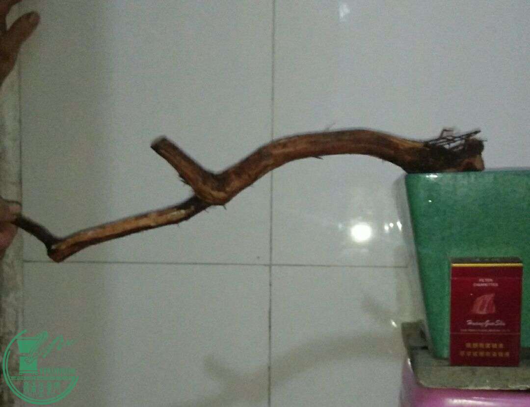QQͼƬ20160223215106.jpg