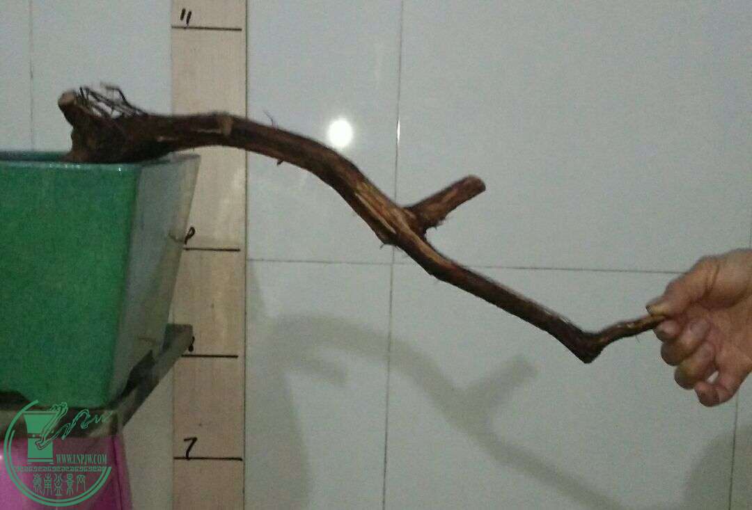 QQͼƬ20160223215100.jpg