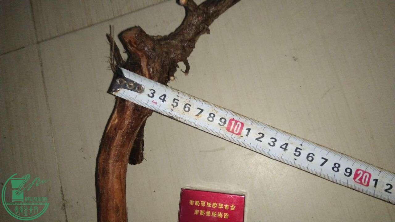 QQͼƬ20160223215113.jpg