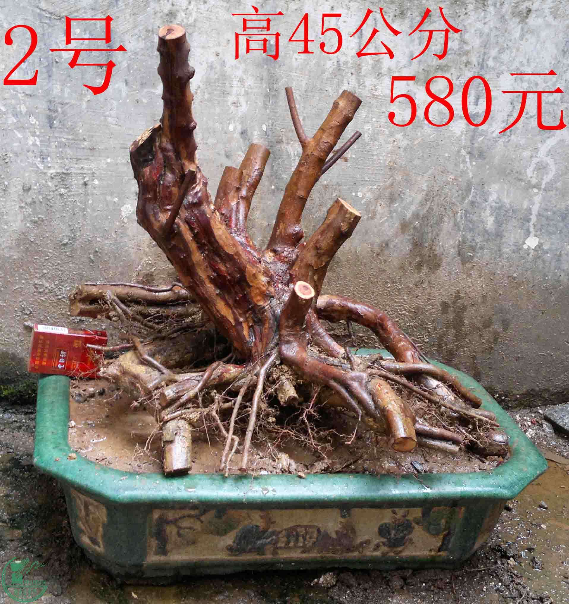 2016022310564.jpg
