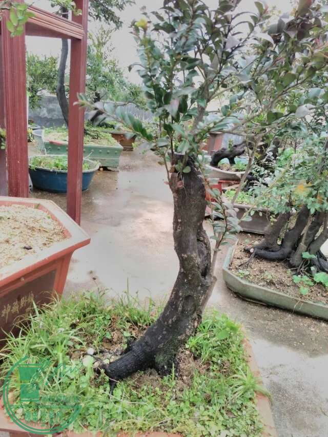 145.jpg