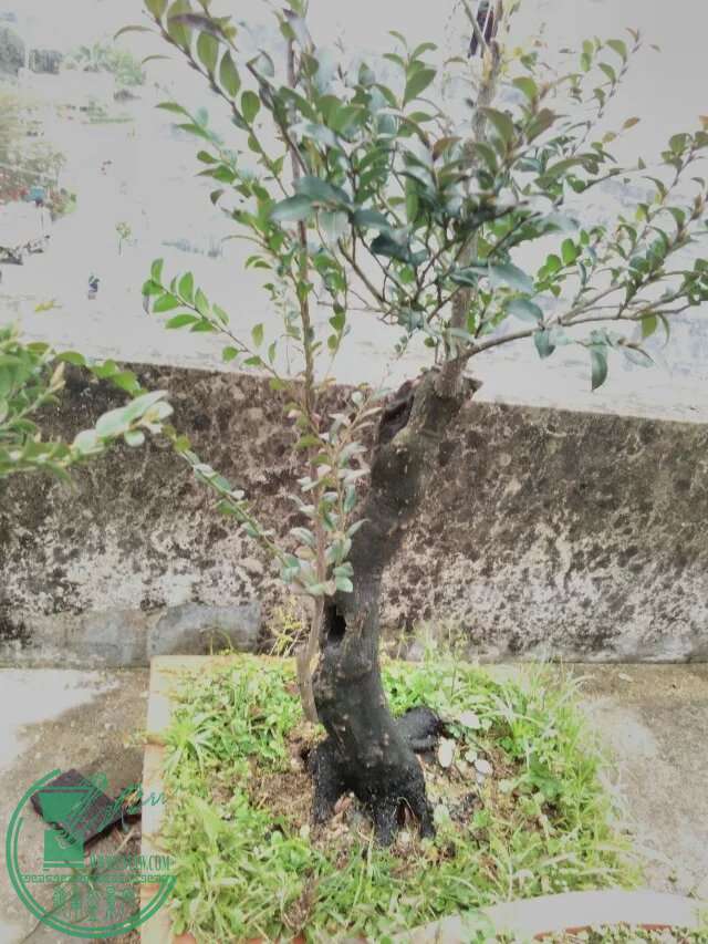 149.jpg