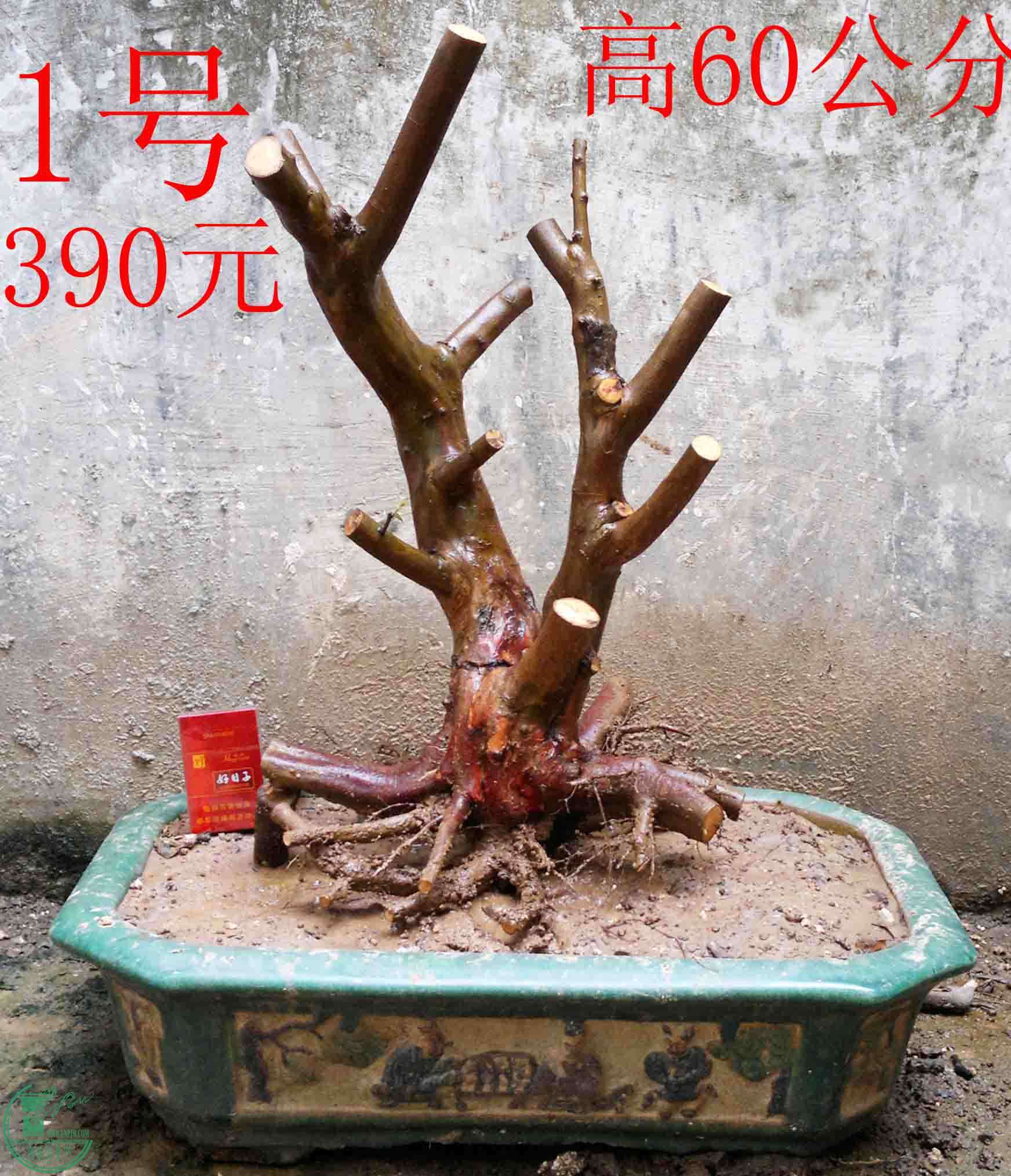 2016022410592.jpg