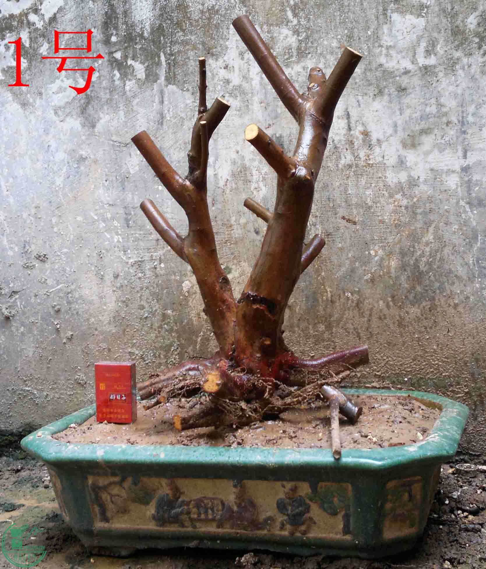 2016022410614.jpg