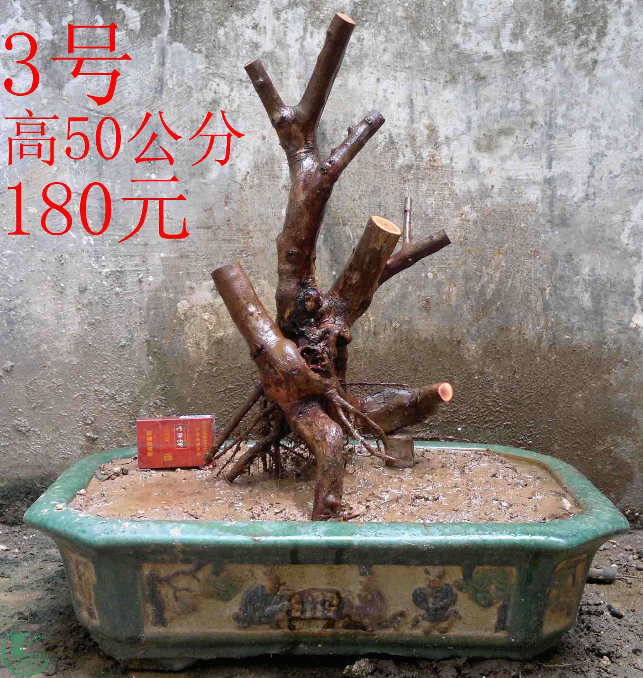2016022410680.jpg