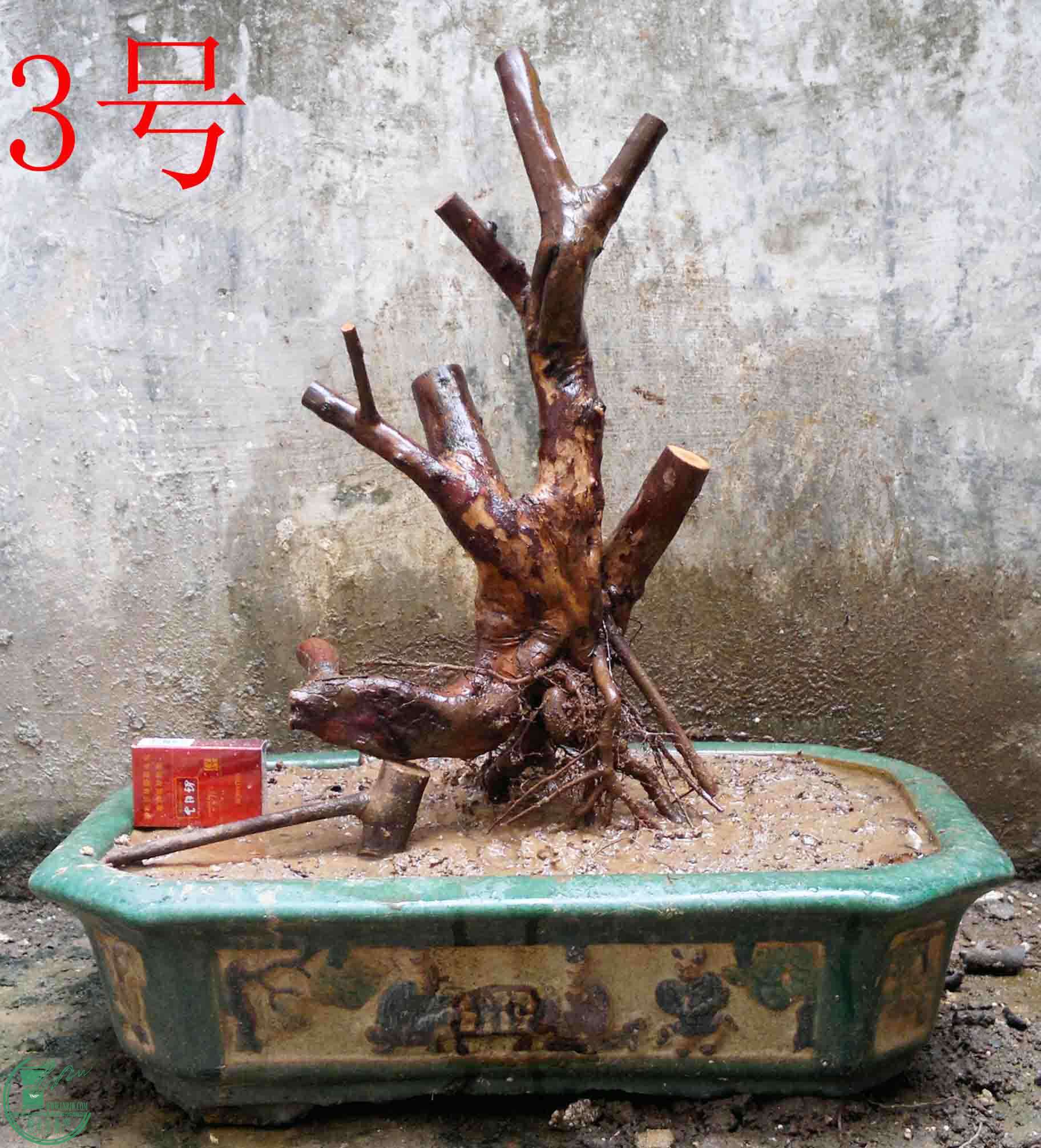 2016022410690.jpg