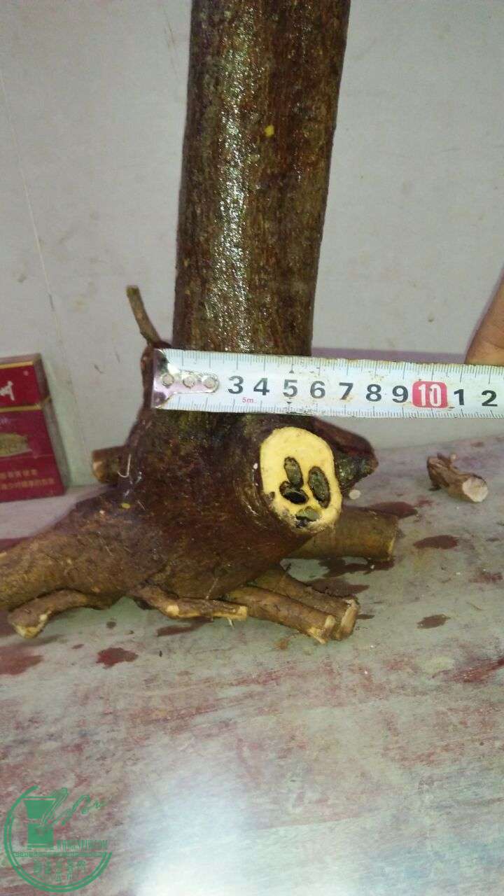 QQͼƬ20160224201313.jpg