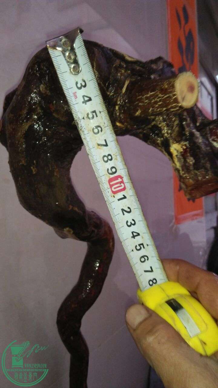 QQͼƬ20160224200157.jpg