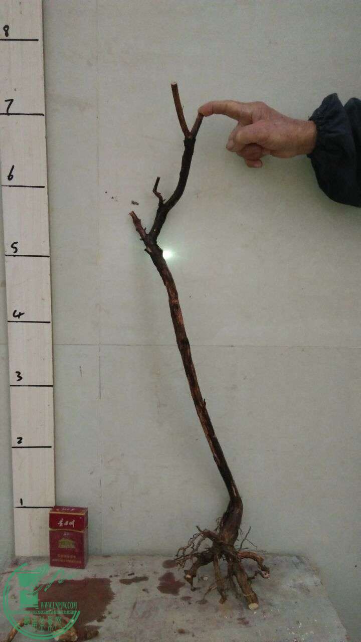 QQͼƬ20160224200301.jpg