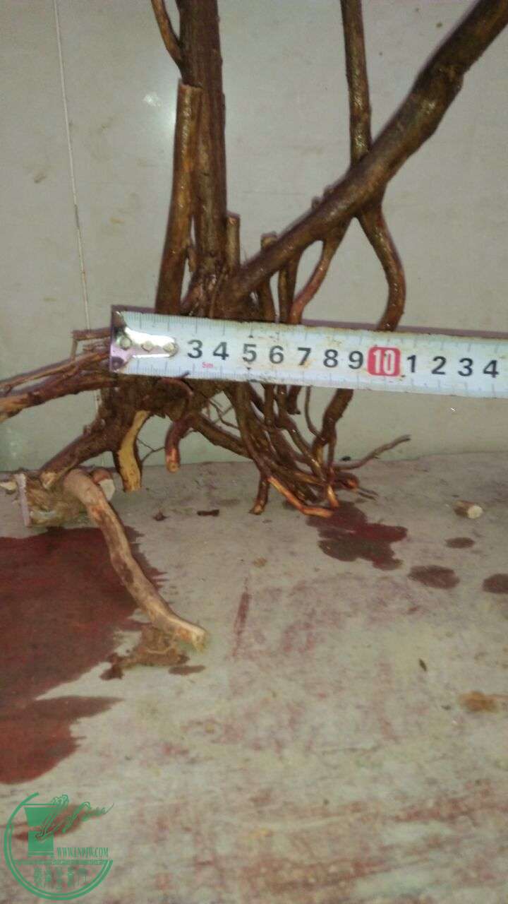 QQͼƬ20160224200347.jpg