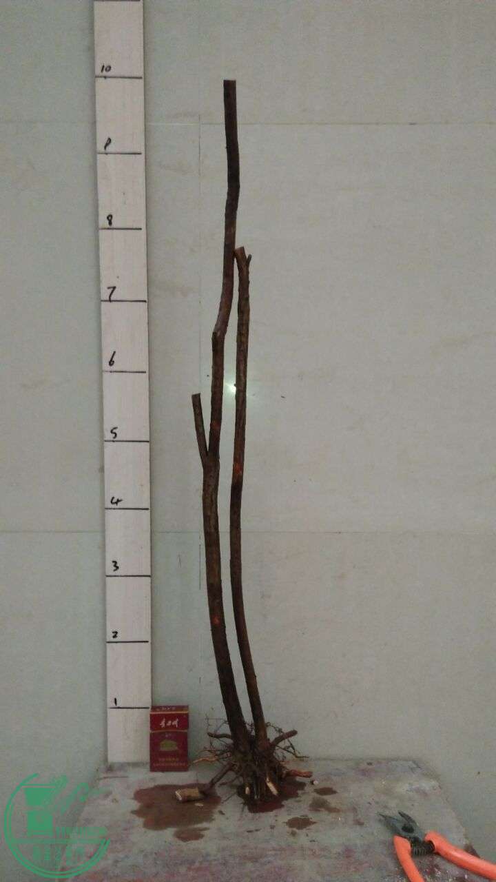 QQͼƬ20160224200238.jpg