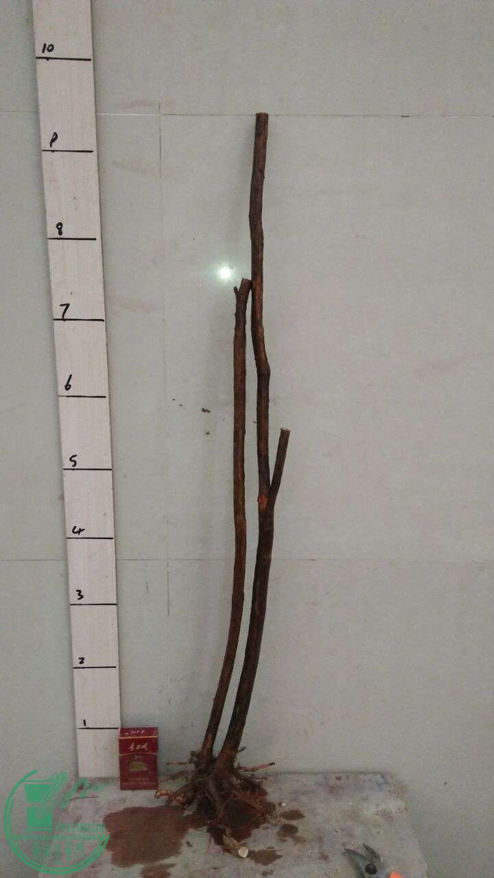 QQͼƬ20160224200232.jpg