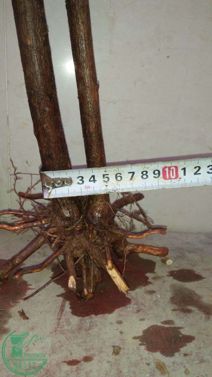 QQͼƬ20160224200243.jpg