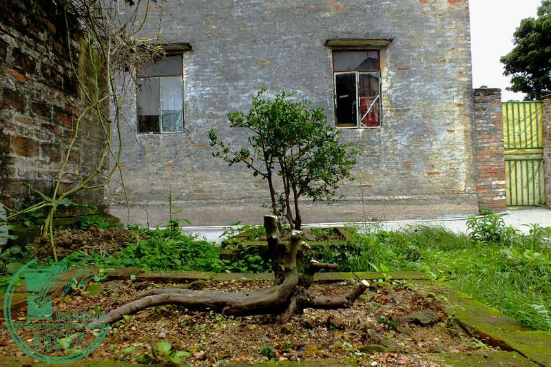 DSCF2690.JPG