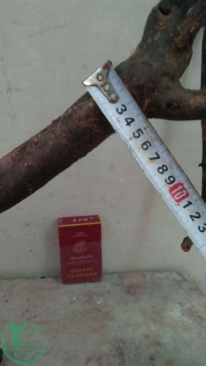 QQͼƬ20160225194039.jpg