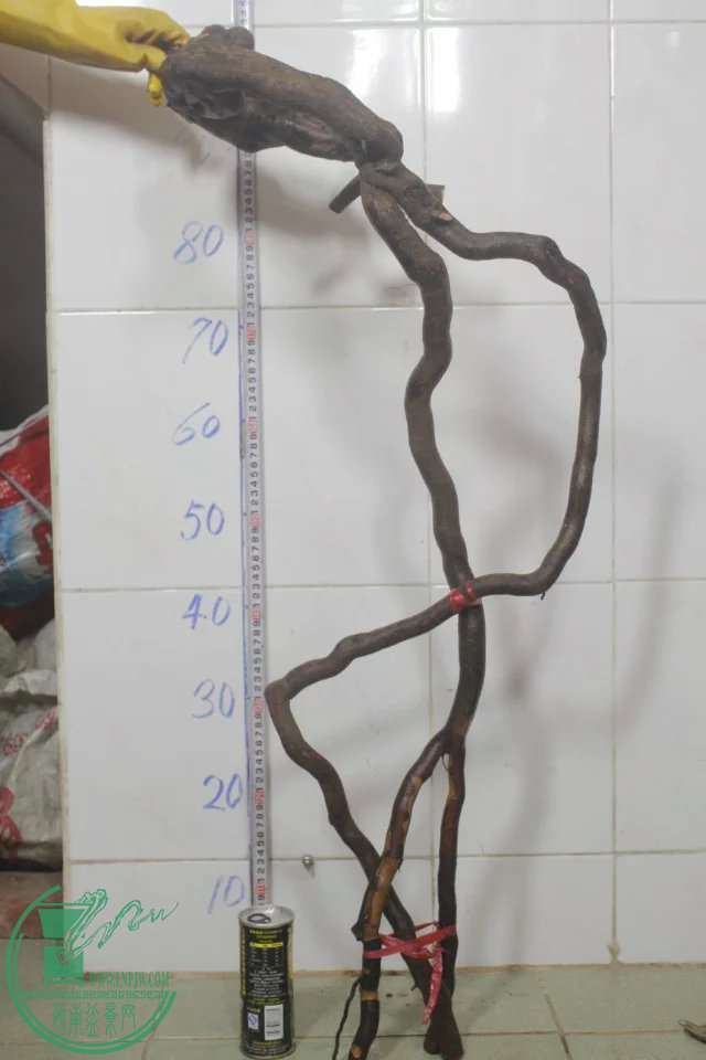 psb (17).jpg