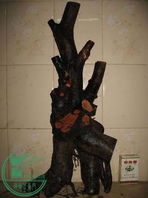 004.JPG