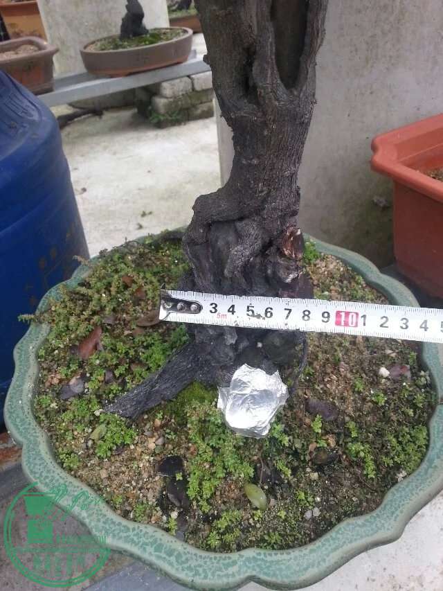 image.jpg