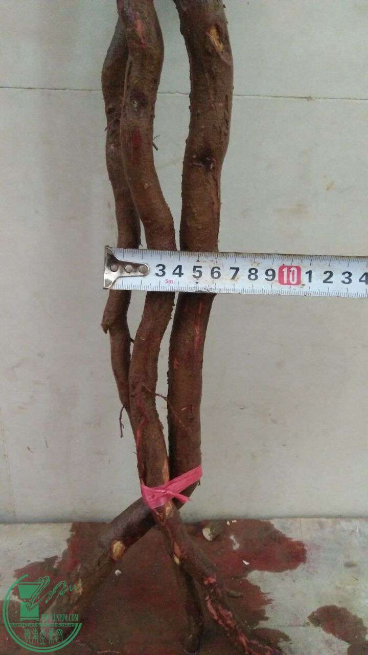 QQͼƬ20160226201433.jpg