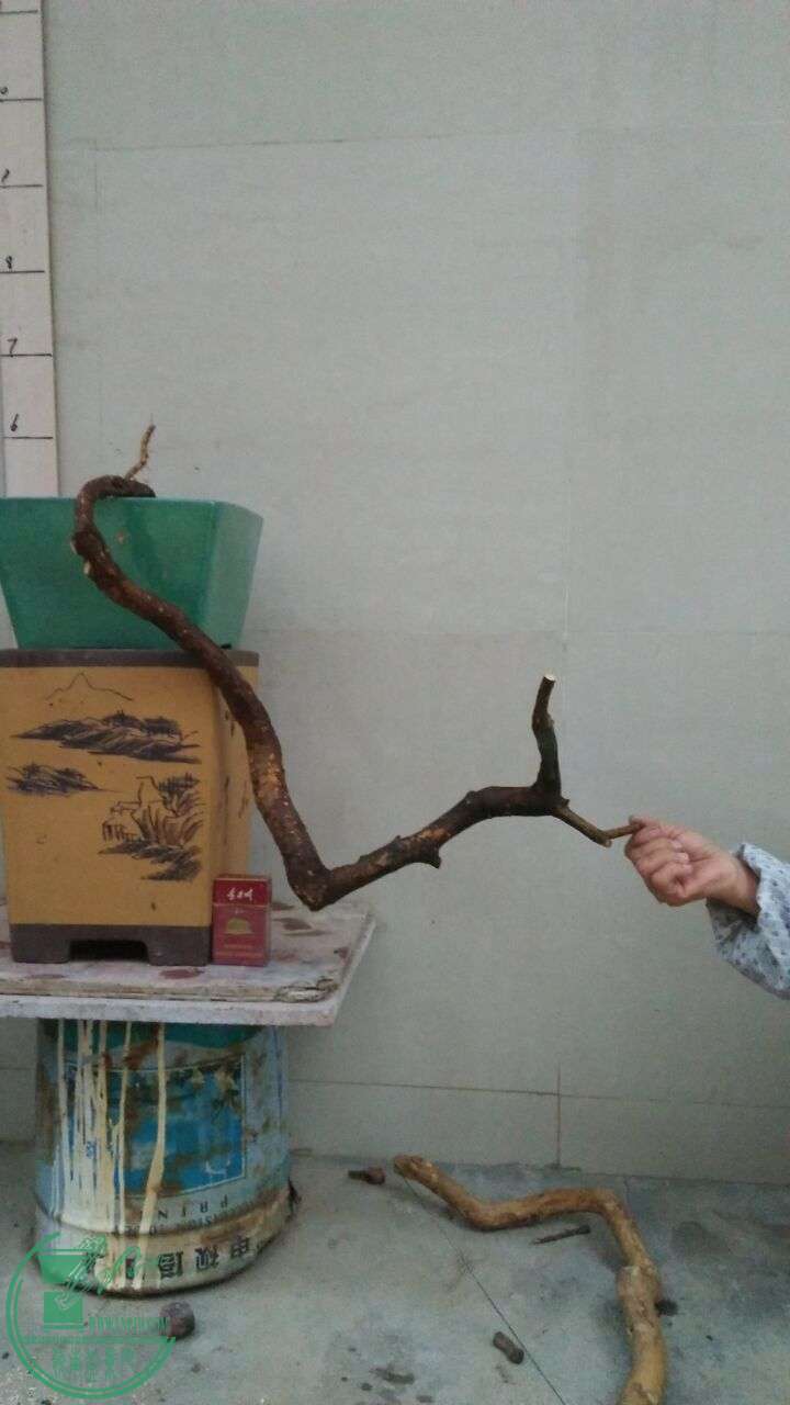 QQͼƬ20160226201321.jpg