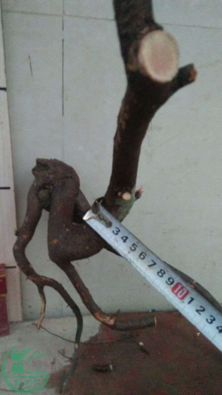 QQͼƬ20160226201303.jpg