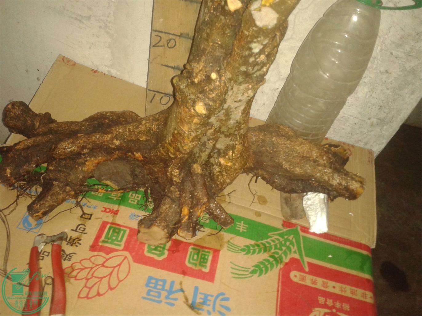 20160226_210415.jpg