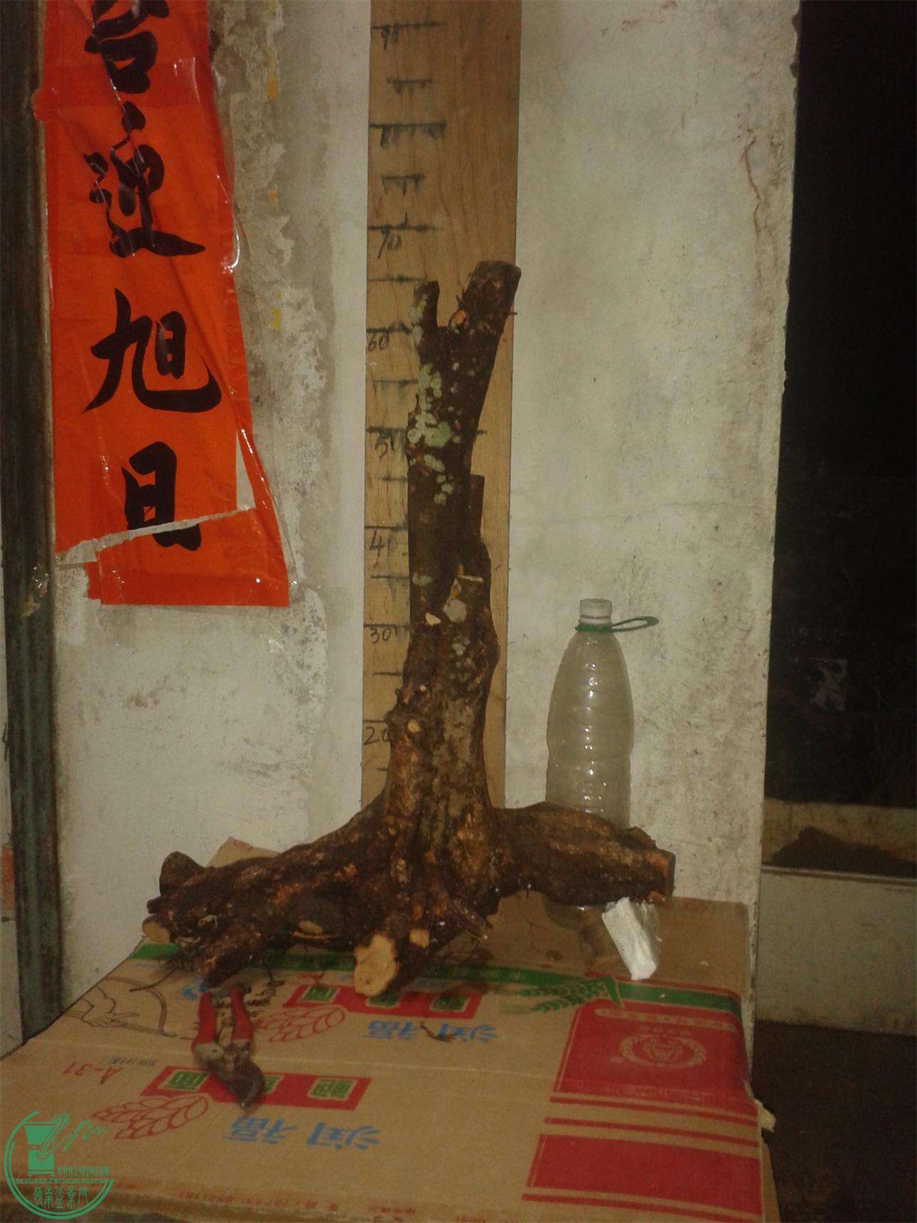 20160226_210449.jpg