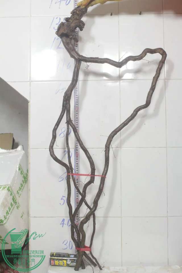 psb (10).jpg