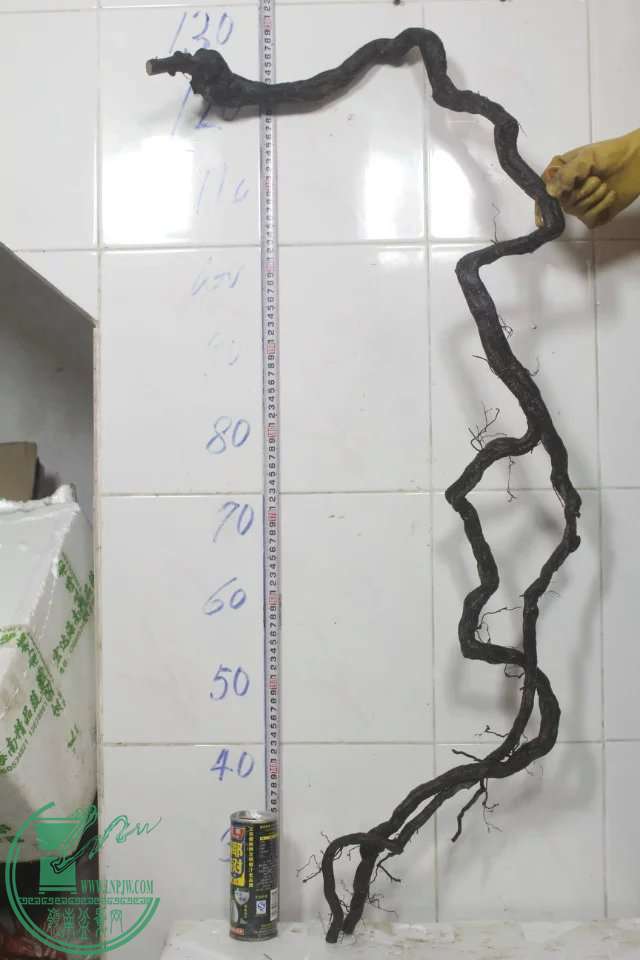 psb (11).jpg