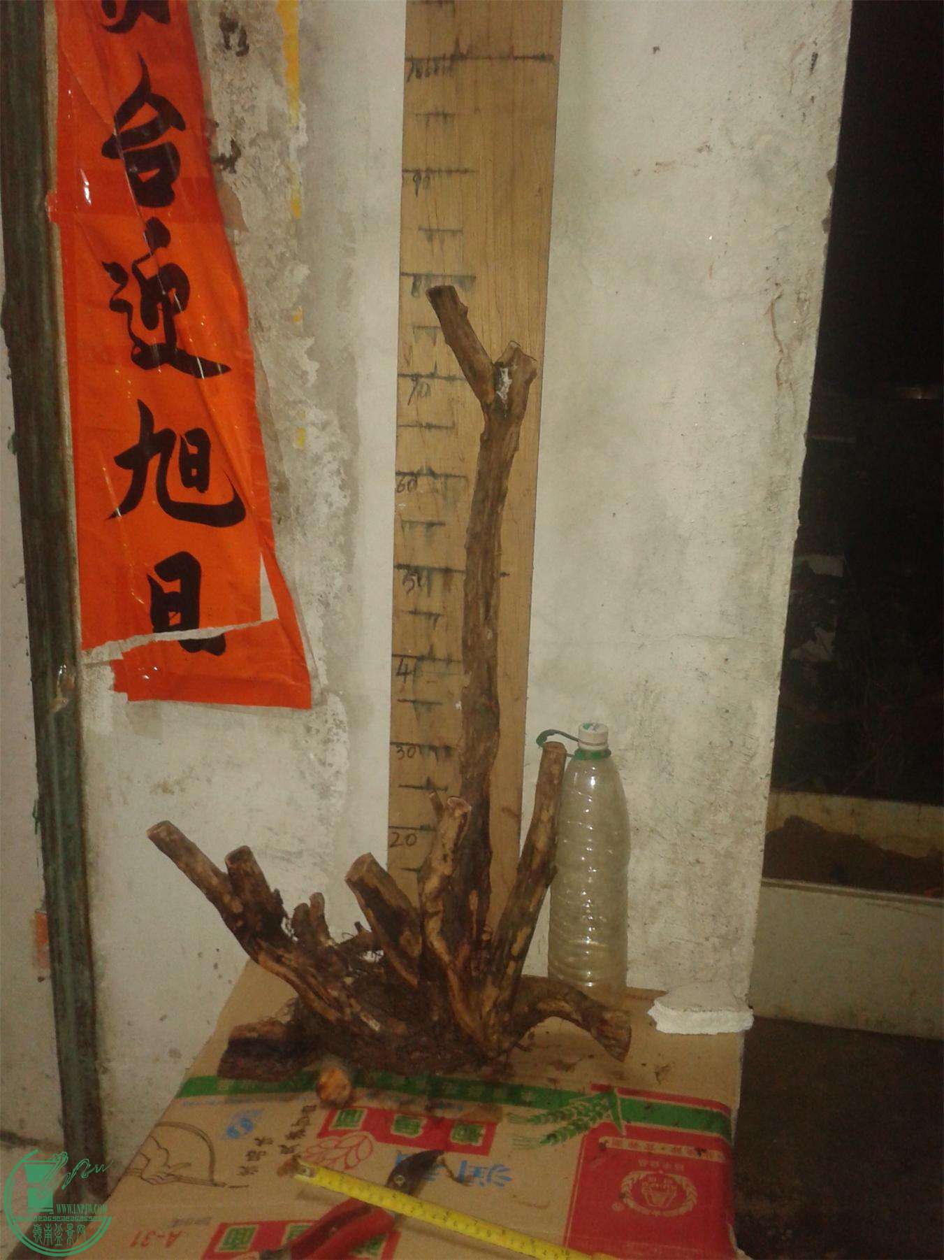 20160226_211714.jpg