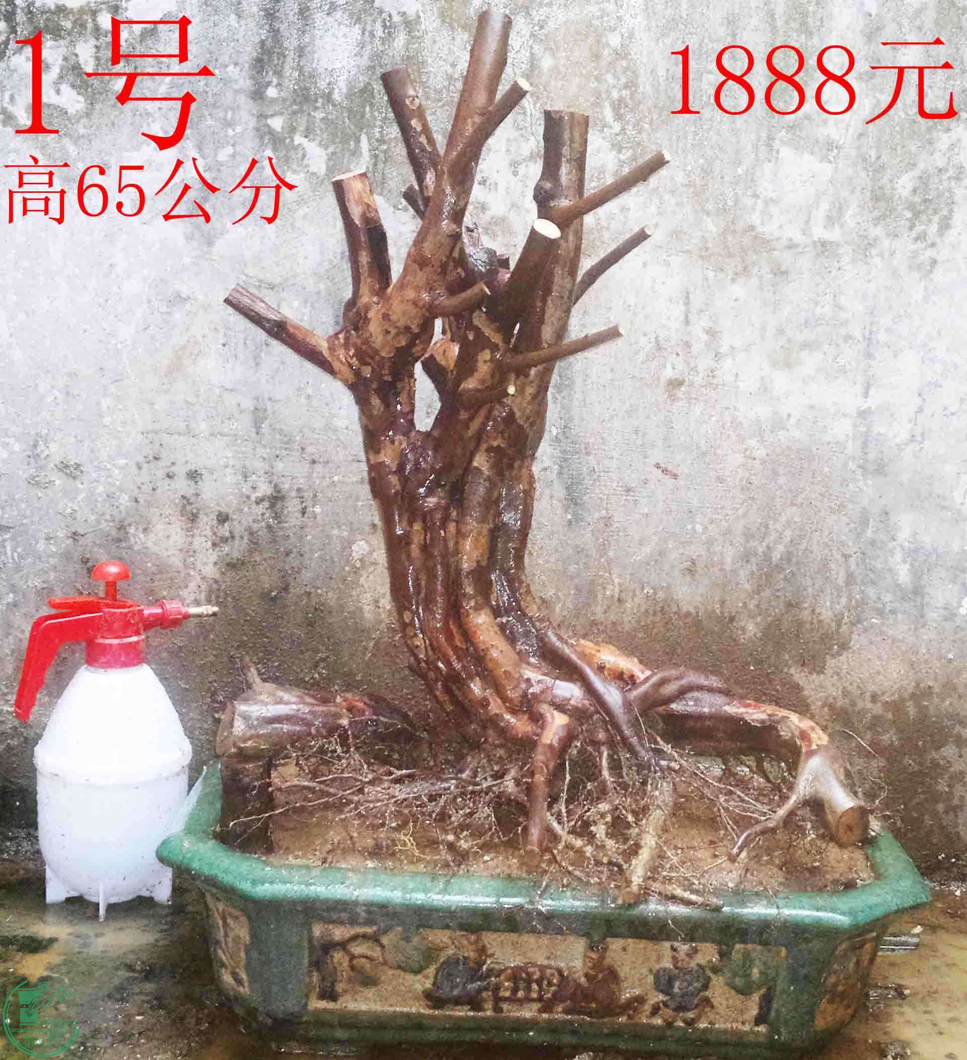 2016022610780.jpg