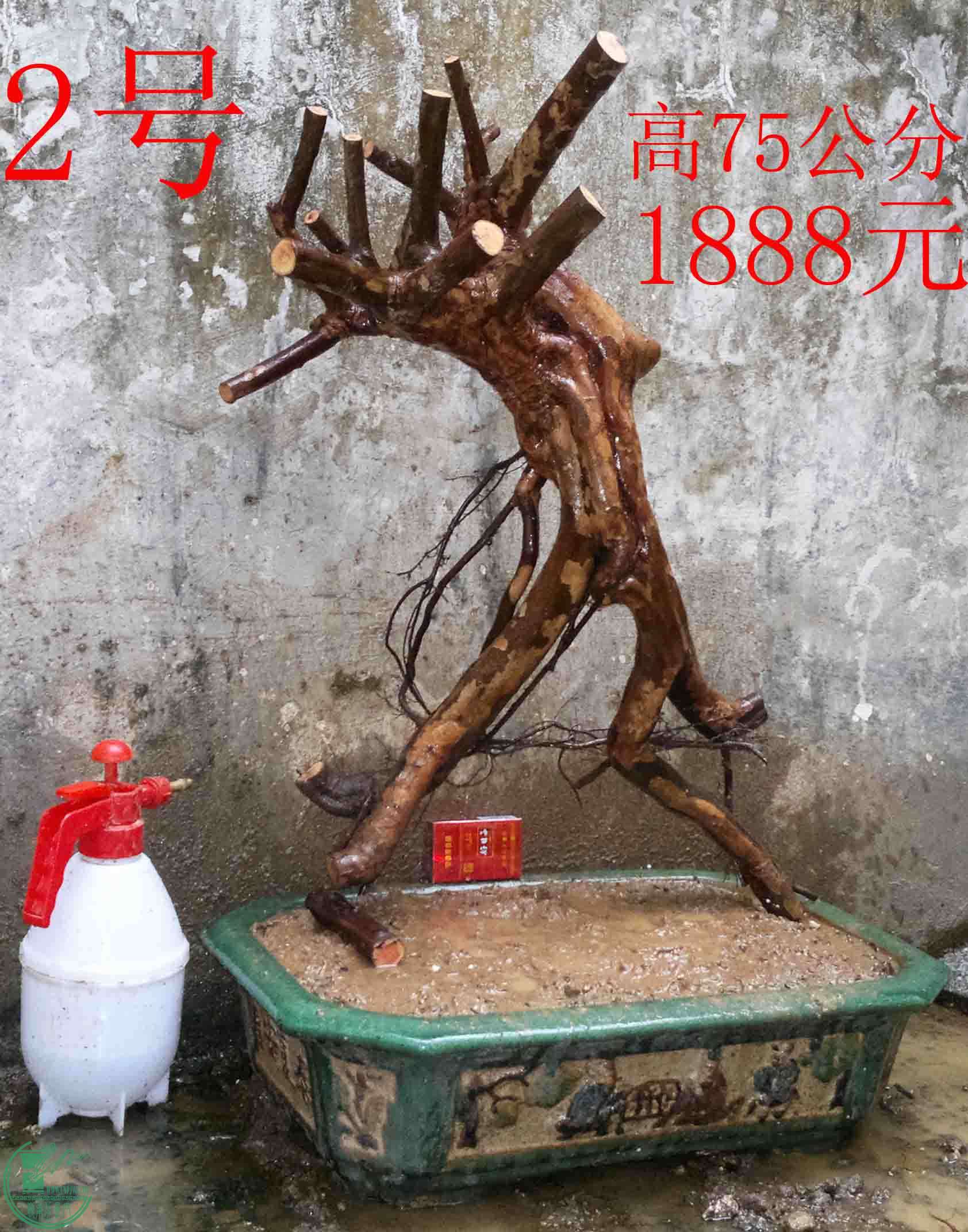 2016022610794.jpg
