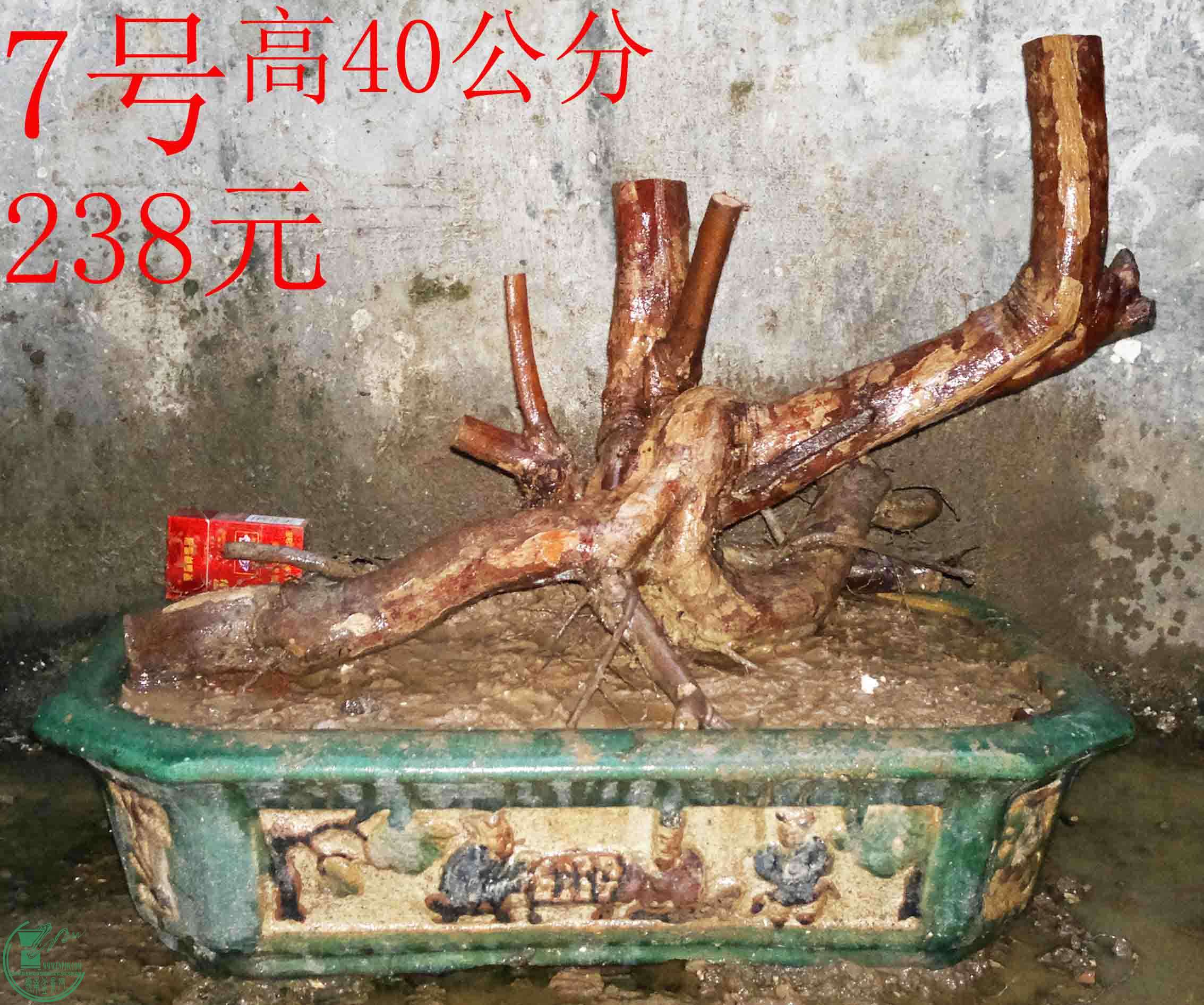 2016022611002.jpg